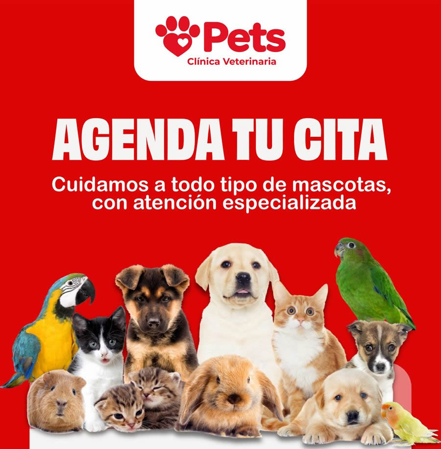 Mascotas listas para agendar cita en PETS