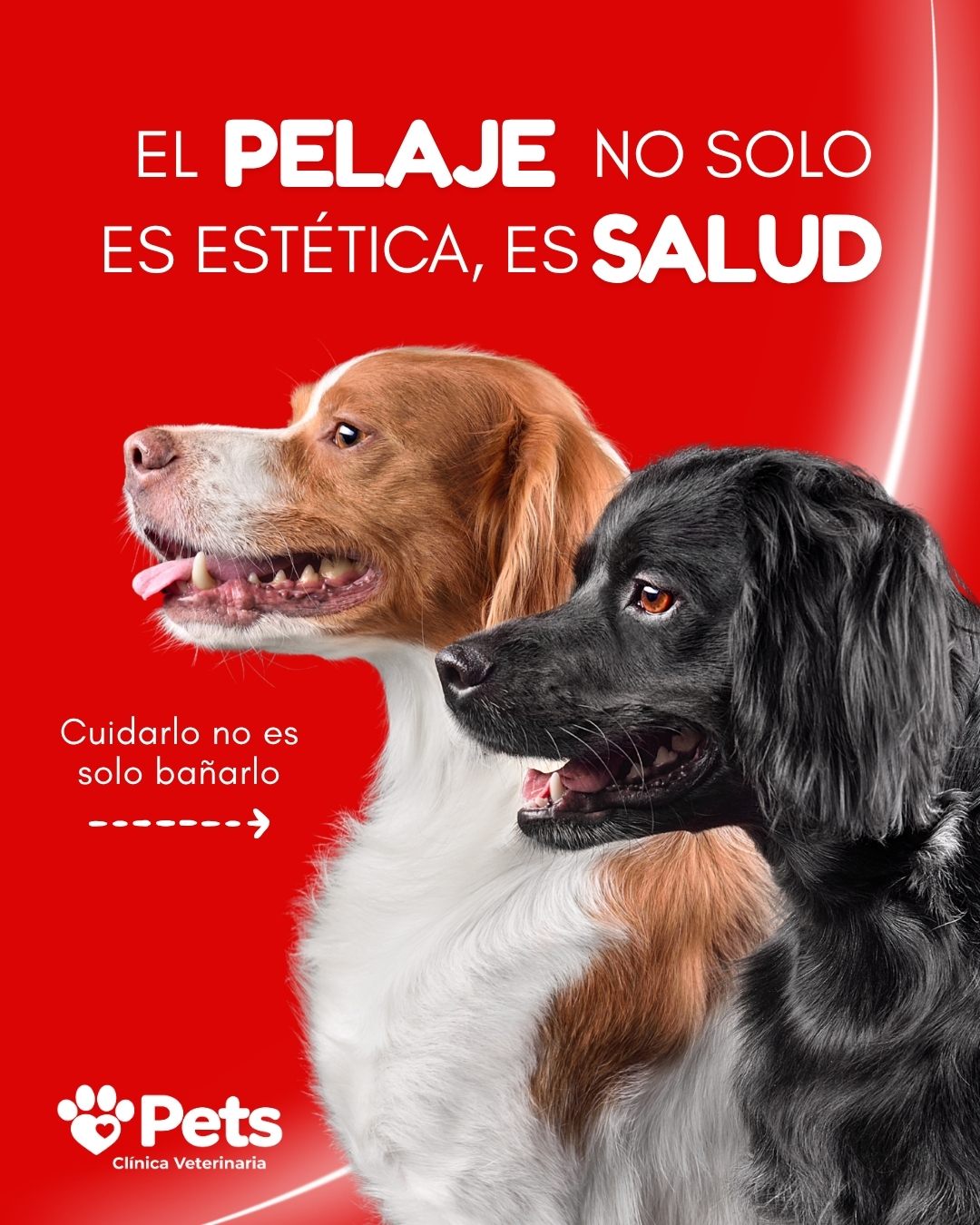 Mascotas saludables atendidas por PETS