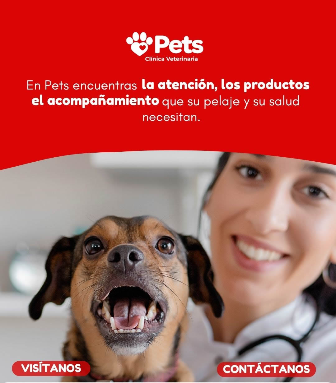 Paciente canino junto a una especialista de PETS Clínica Veterinaria