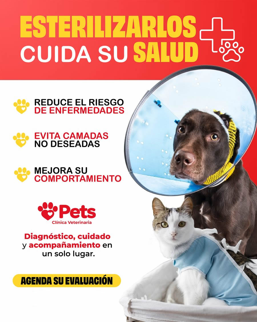 Comunicación de esterilización y cuidado de salud PETS